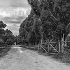 La entrada al campo