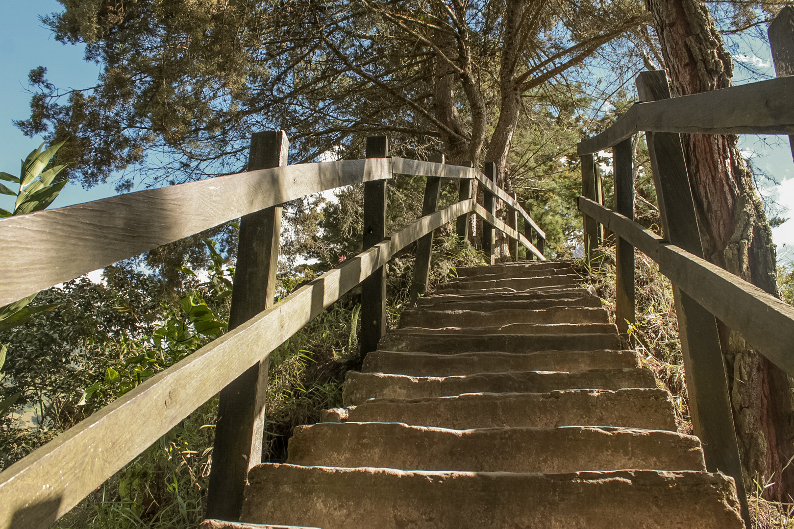 La escalera nos guía.