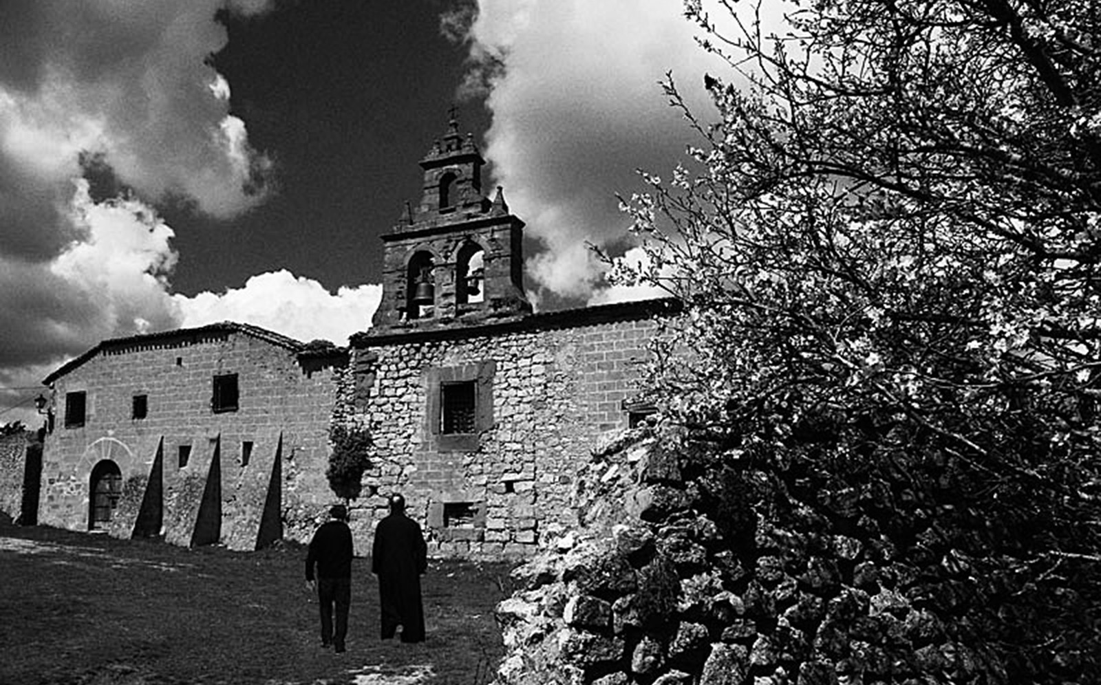 La espadaña y las flores.