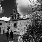 La espadaña y las flores.