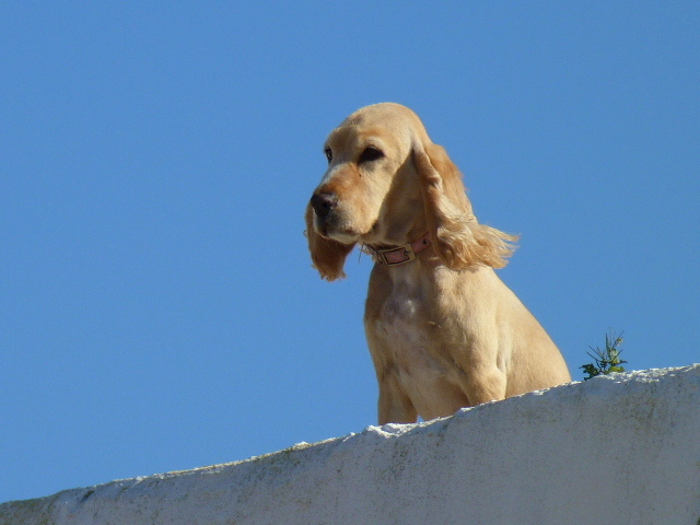 La espera