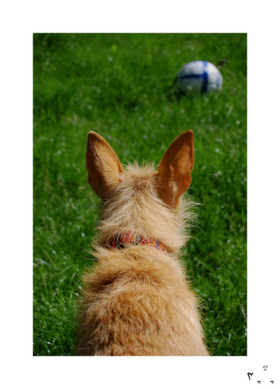 La estrella del fútbol