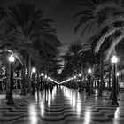 La Explanada de noche