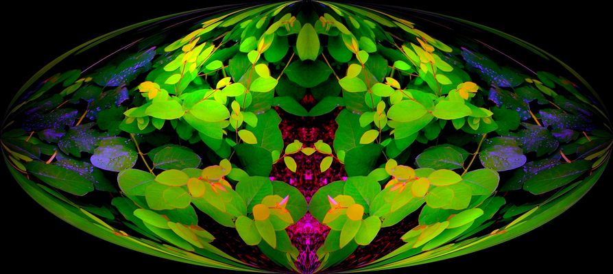 La face cachée du végétal ...