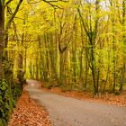 La fageda d'en Jordá