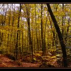 La Fageda d'en Jordá