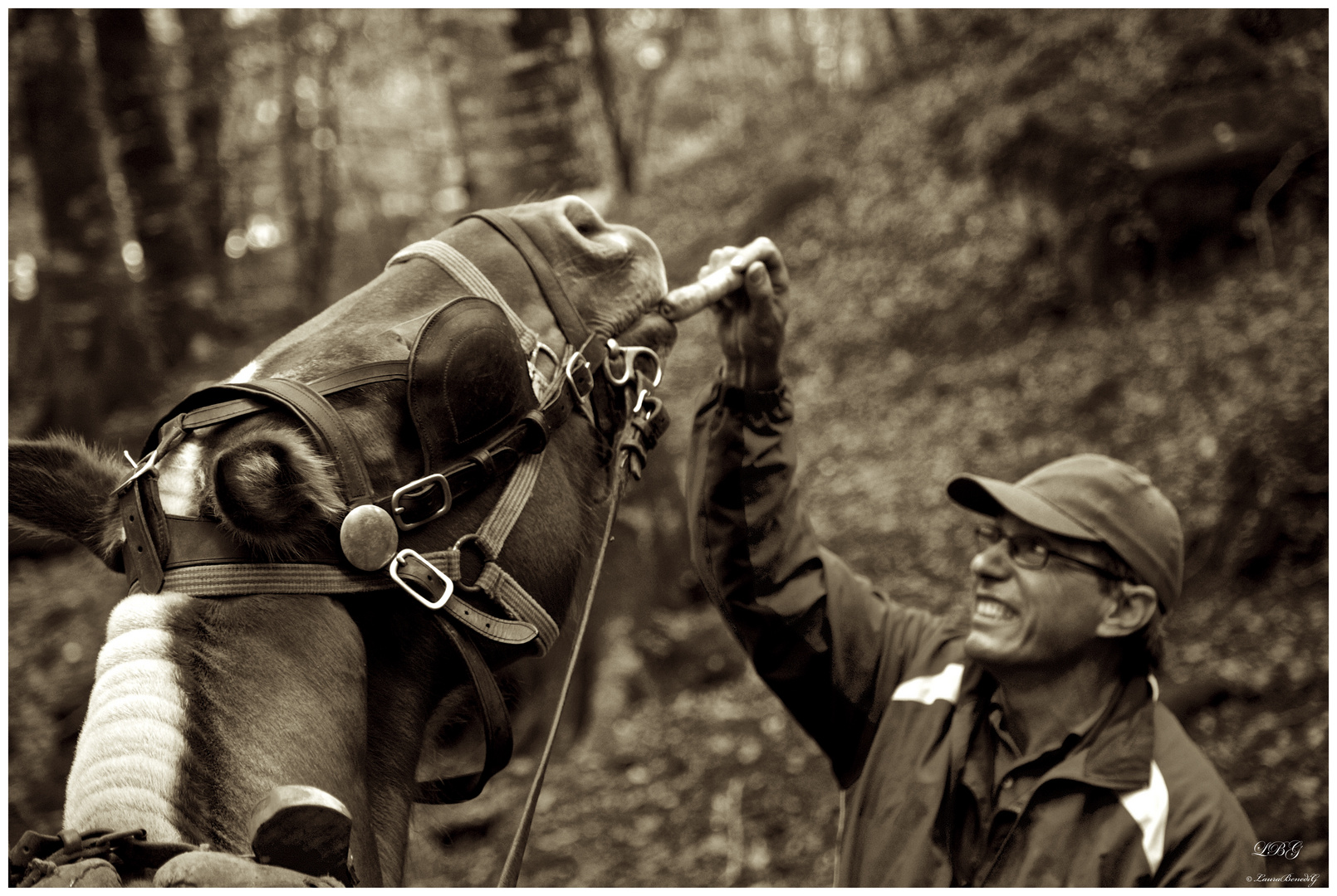 La fageda d'en Jordà