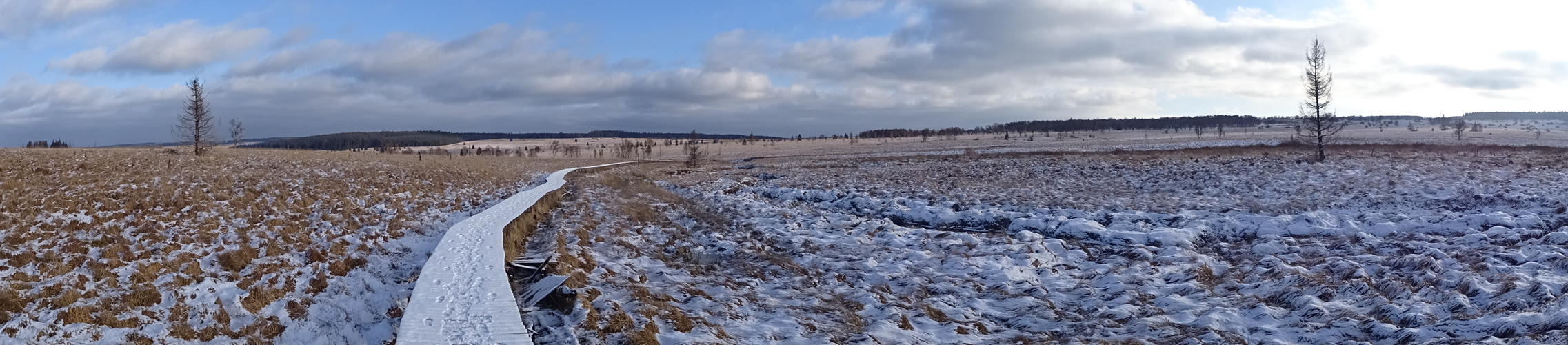 la fagne belge en hiver