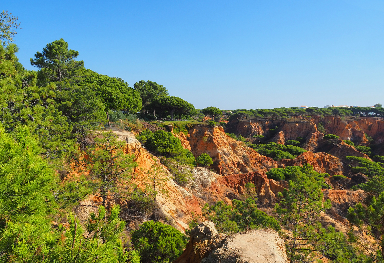 La falaise d’Algarve