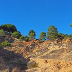 La falaise près de la Plage de Barranco