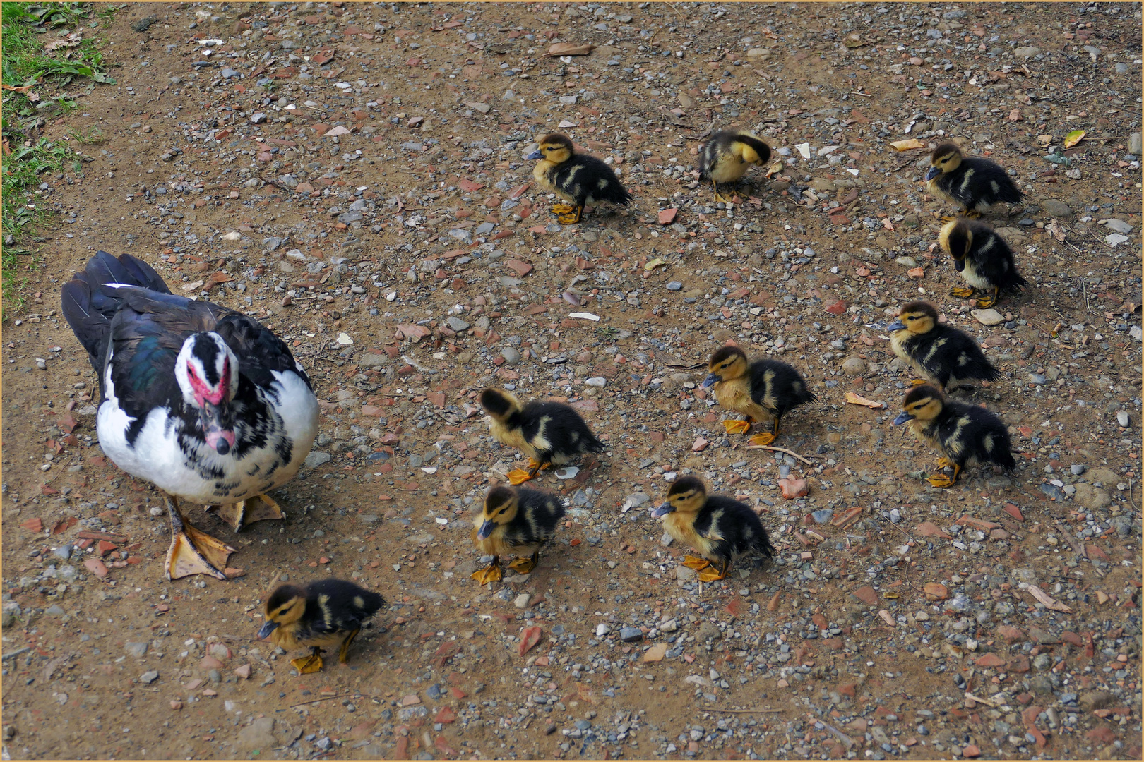 la famille au complet ....