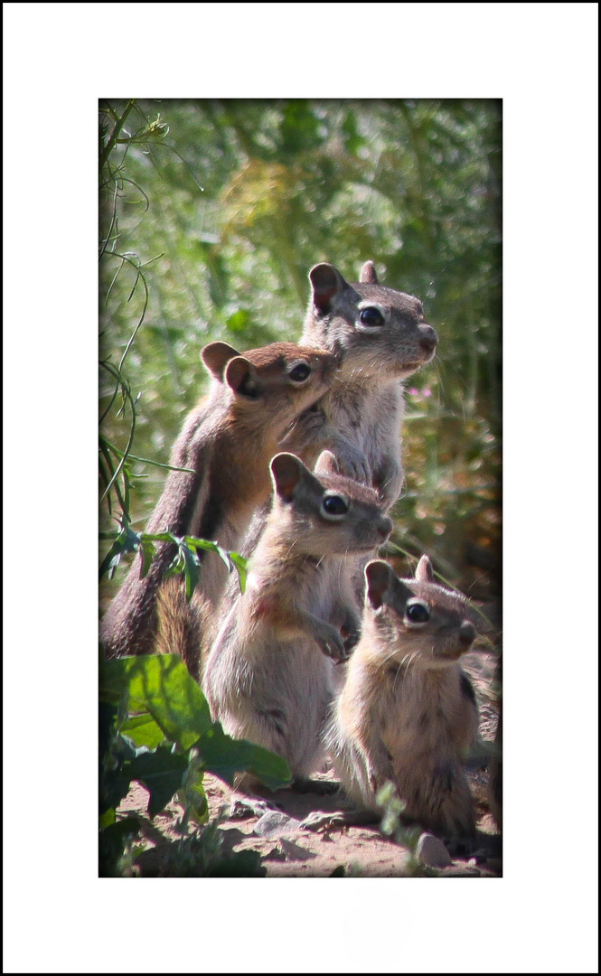 La famille tendresse