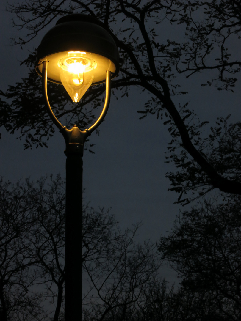 La farola de mi calle