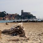 La felicità è ..... una spiaggia deserta in primavera.