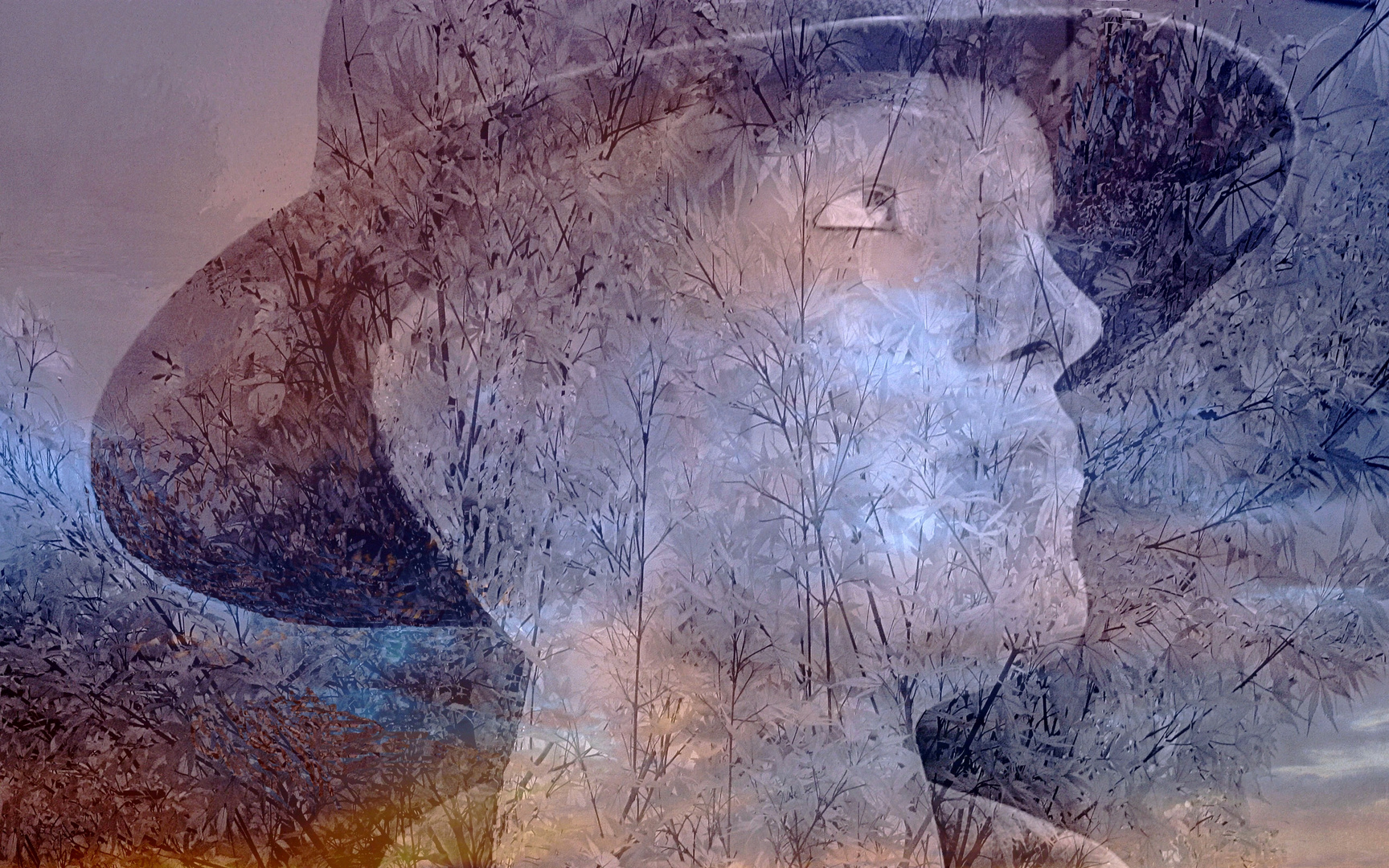 La femme au chapeau photo et image portraits, personnes, vision
