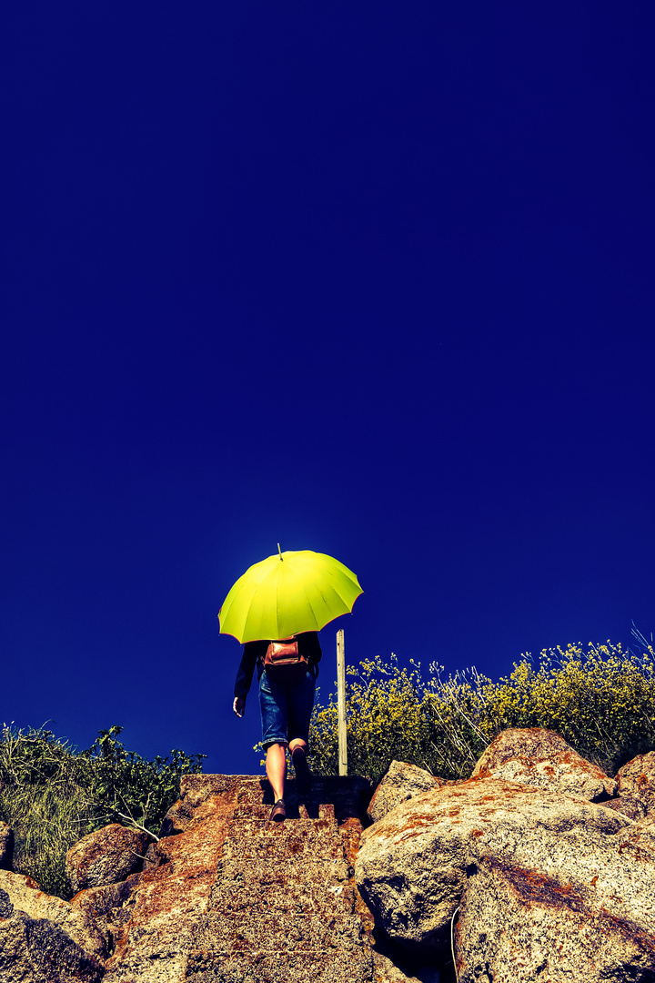 La femme au parapluie (137) ; ..... clairement, ça monte !