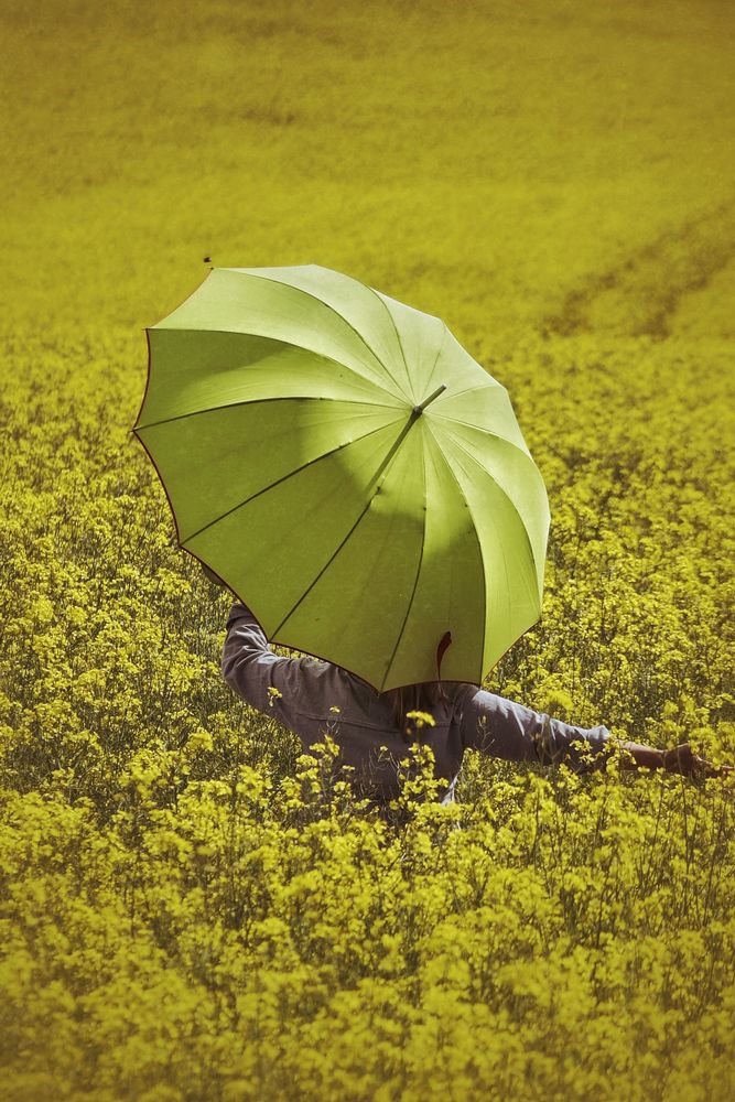 La femme au parapluie danse à travers un champ de colza (82)