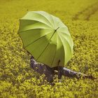 La femme au parapluie danse à travers un champ de colza (82)