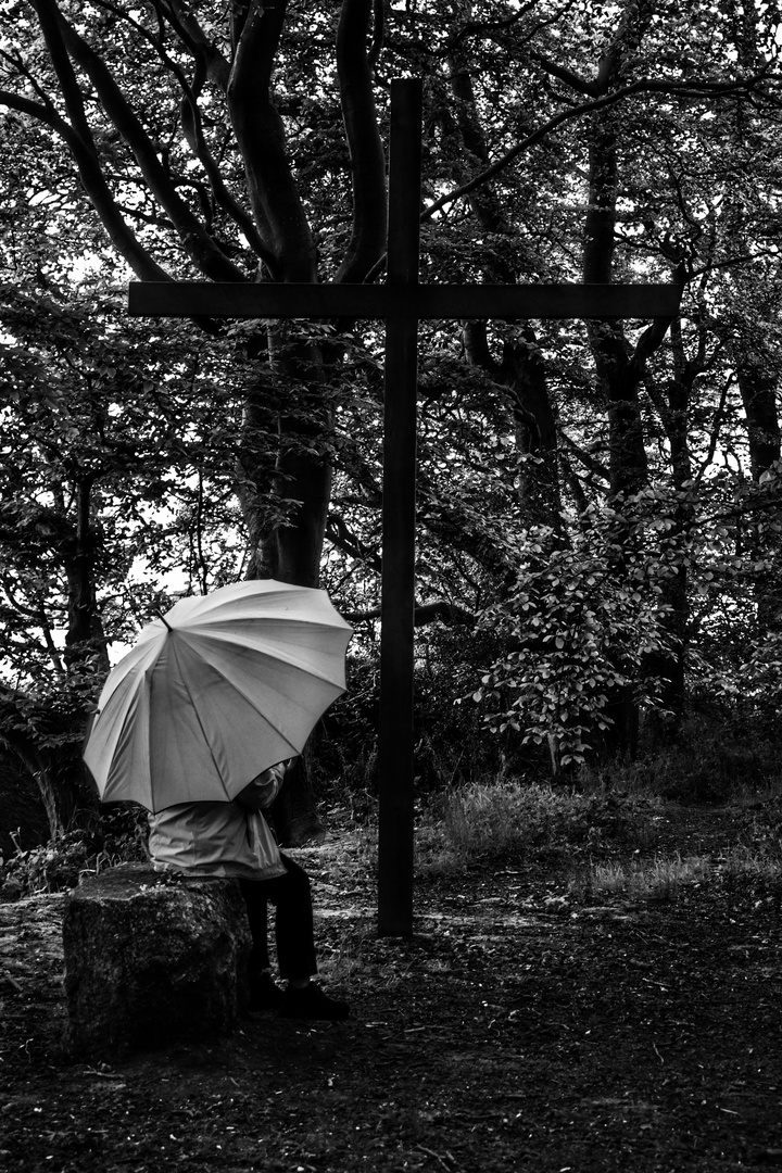 La femme au parapluie s'attarde un instant dans la forêt réconfortante (86)