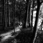 La femme au parapluie se promène dans la forêt côtière! (84)