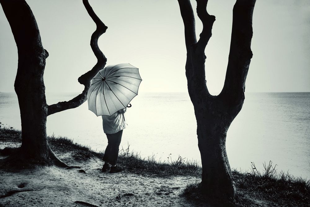 La femme au parapluie se tient entre deux arbres (95)