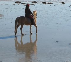 La femme et son cheval