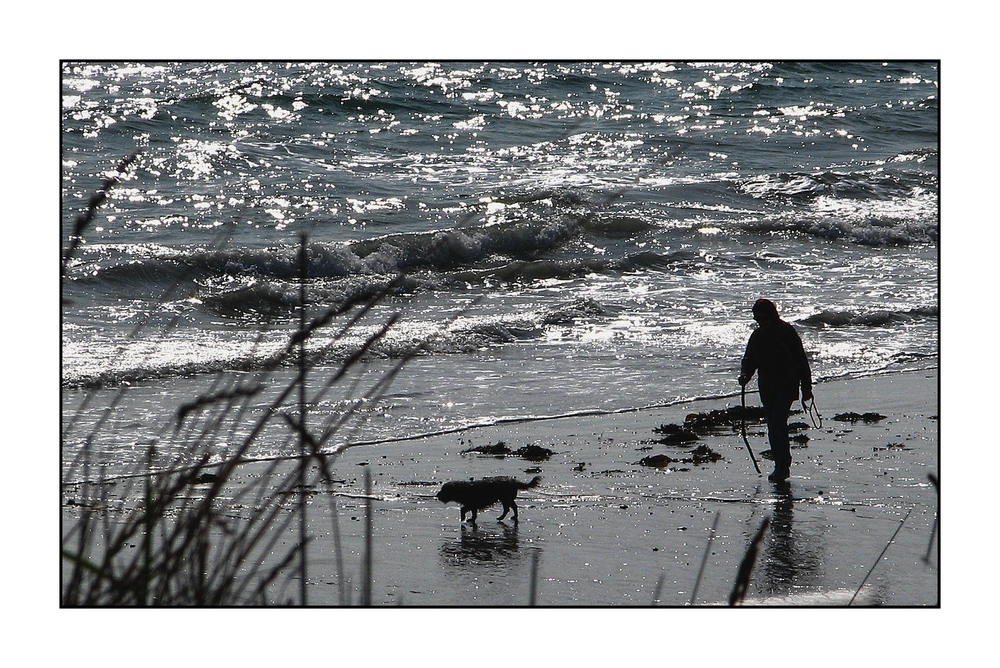 " La femme et son chien "