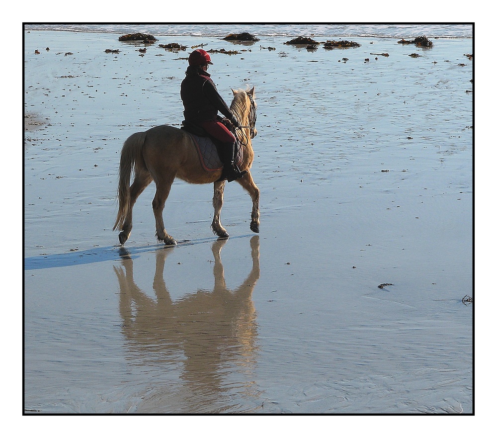 " La femme son cheval et leur reflet "