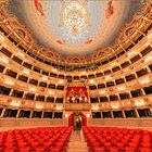  La Fenice 