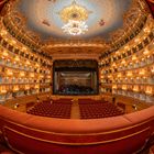 La Fenice