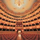 La fenice