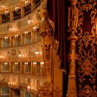 La Fenice III