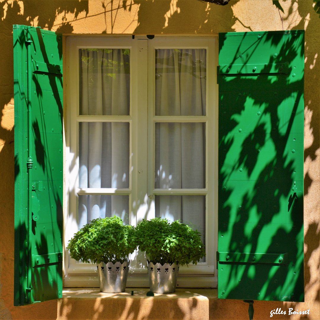 la fenêtre aux volets "verts feuilles"