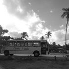 la fermata dell' autobus