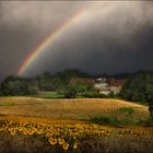 La ferme aux champs