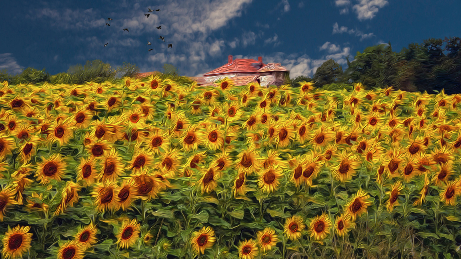 La ferme aux tournesols