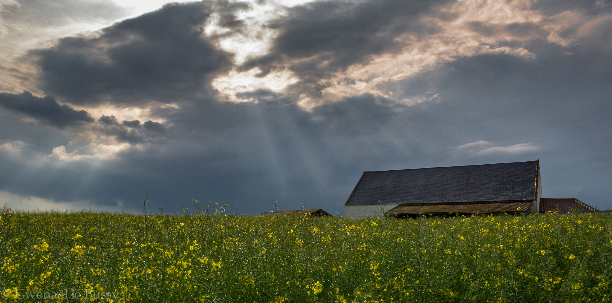 La Ferme