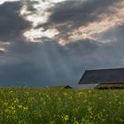 La Ferme