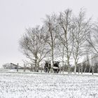 La ferme de La Gervaudière