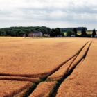 La ferme d'Hurtebise, Chemin des dames