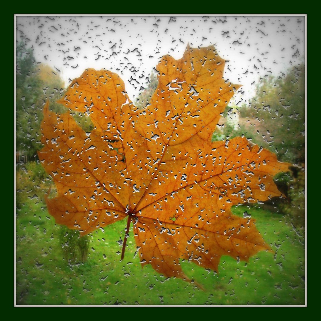 La feuille d'automne