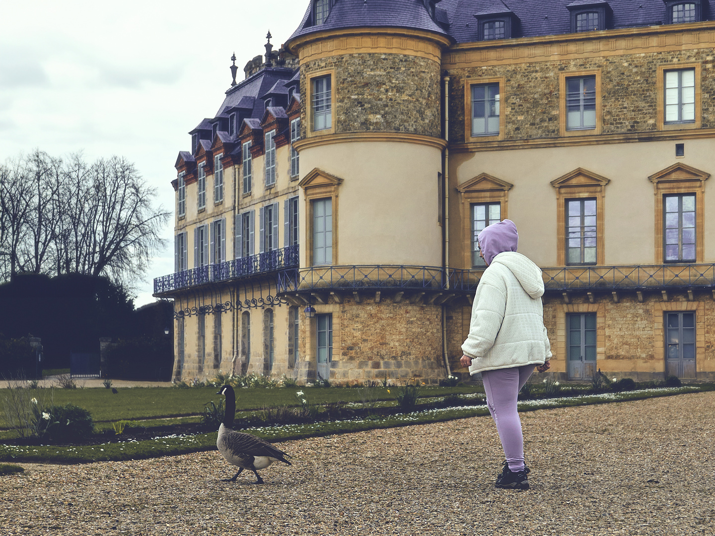 La fille de l'oie sauvage