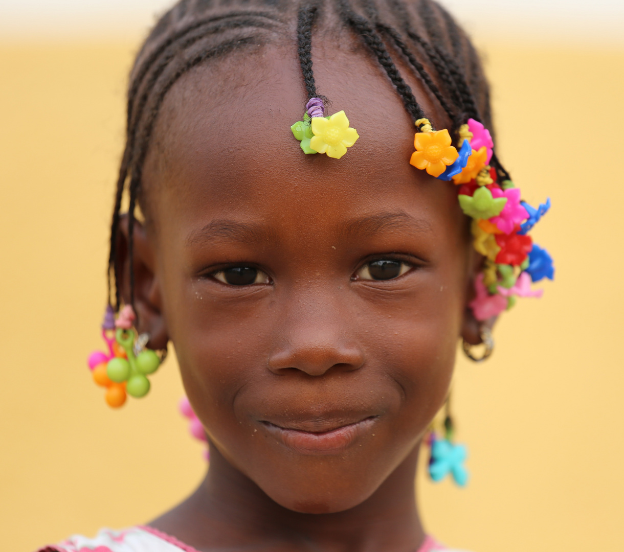 La fillette aux tresses fleuries