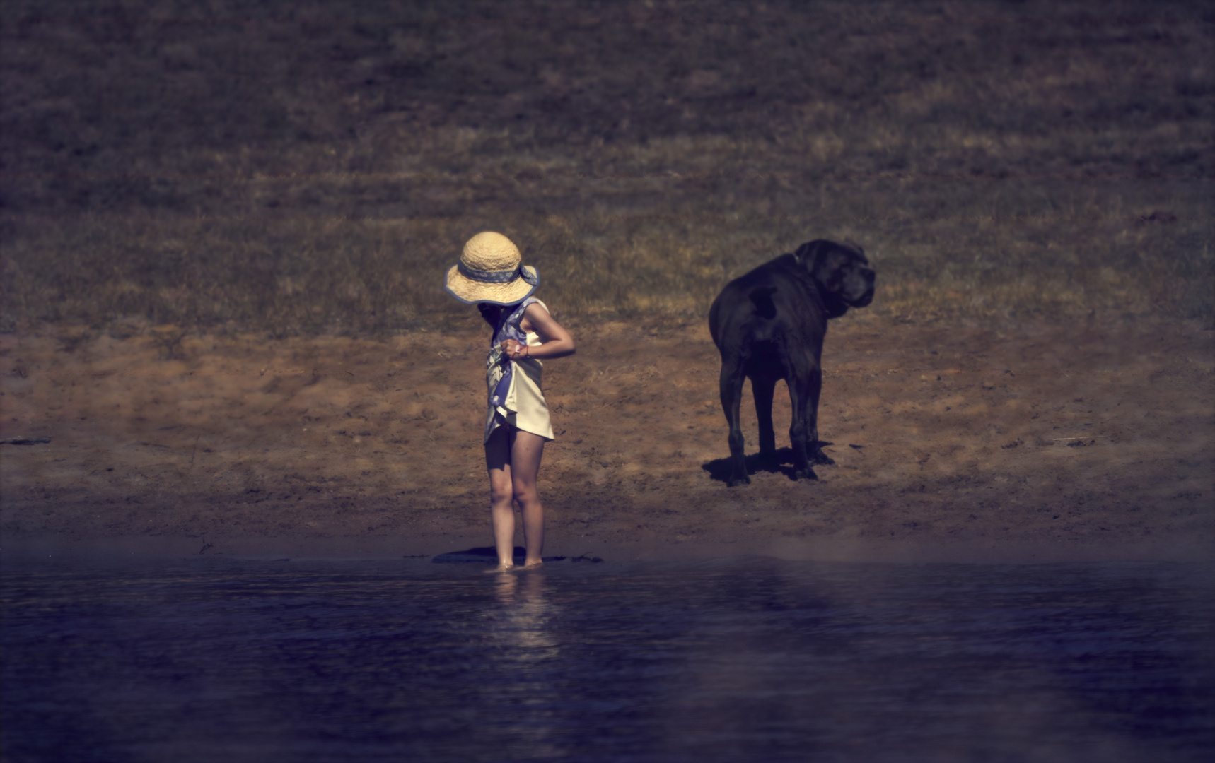  La fillette et son chien