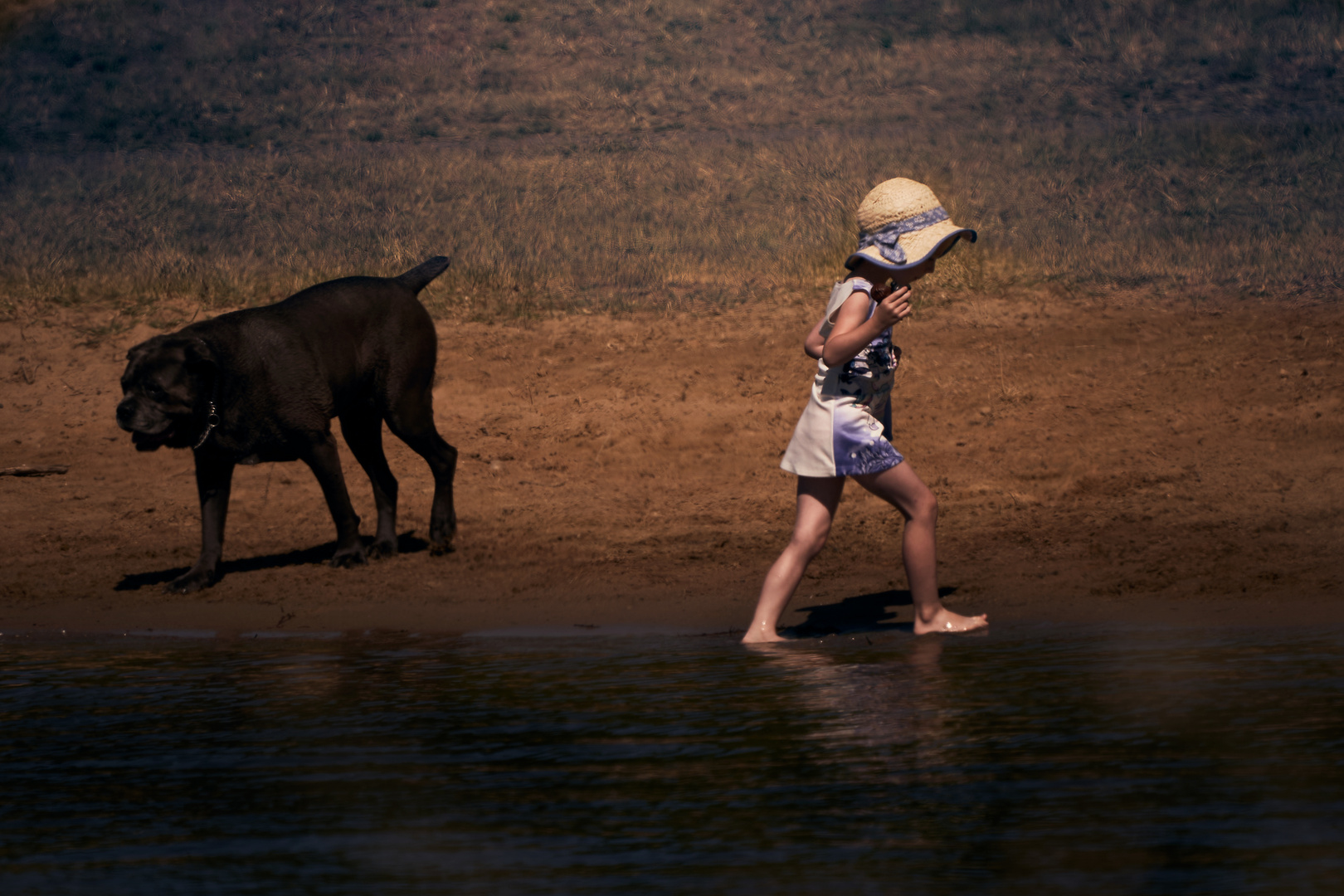 La fillette et son chien 