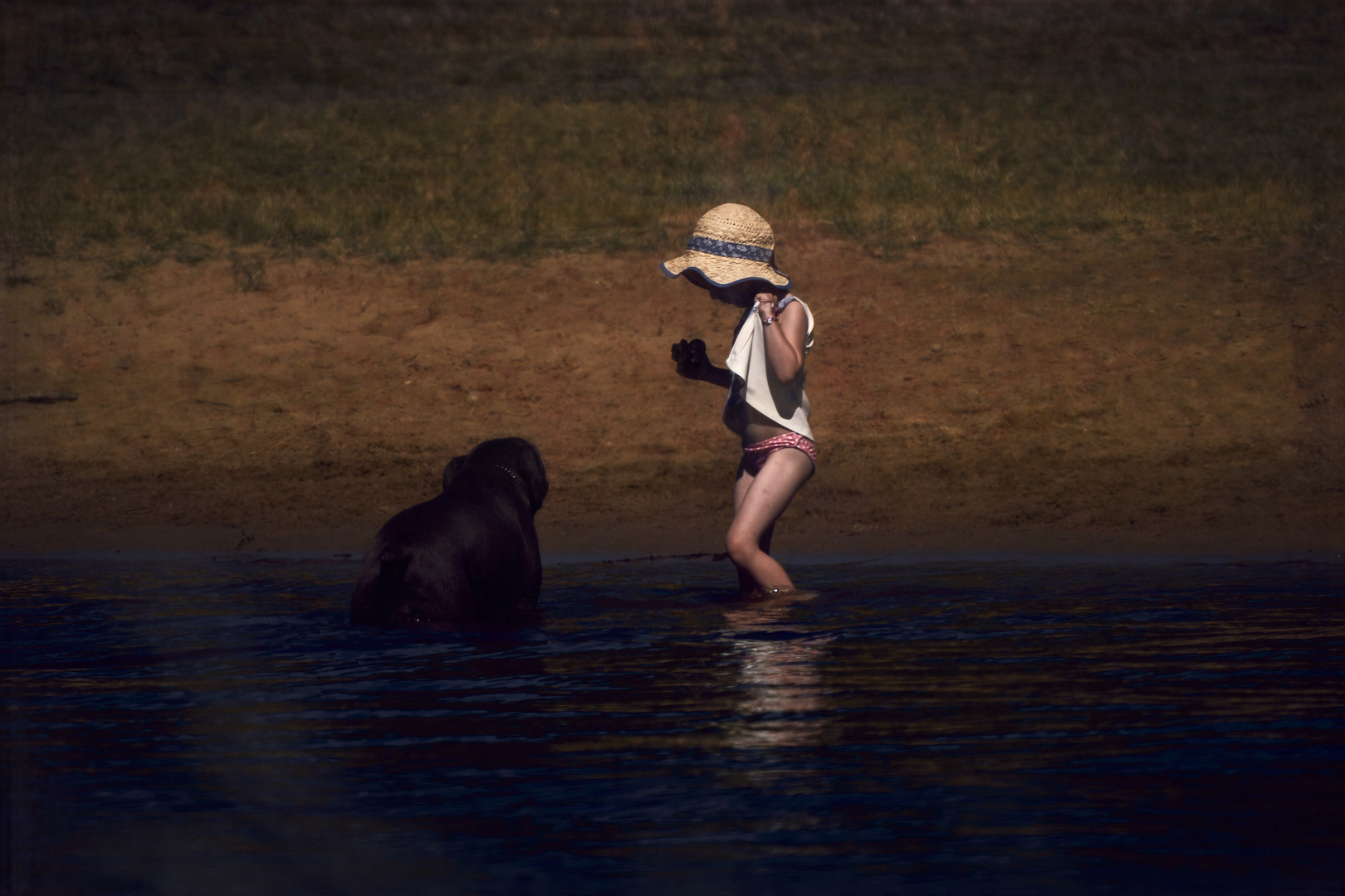 La fillette et son chien