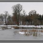 la fin de l' automne....