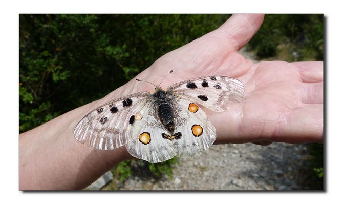 * la fin d'une vie *