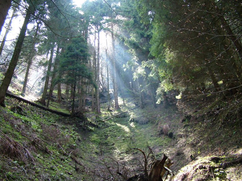 La fine dell'...oscurita'