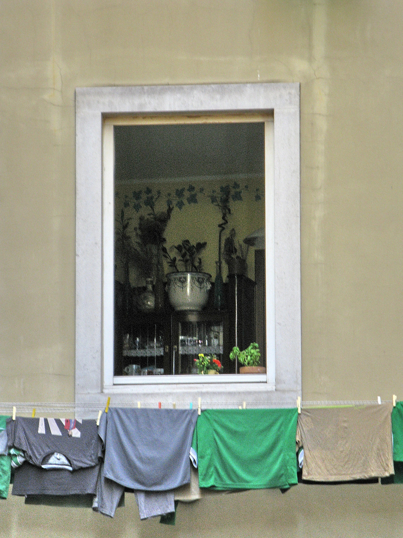 La finestra sul cortile